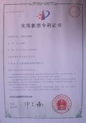 1-1P22610355Y56-lp